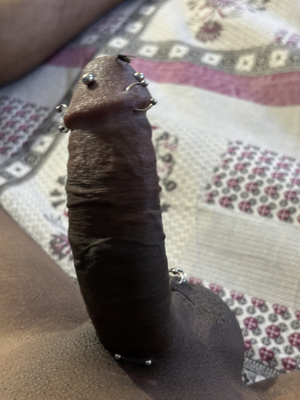 Pierced cock #8