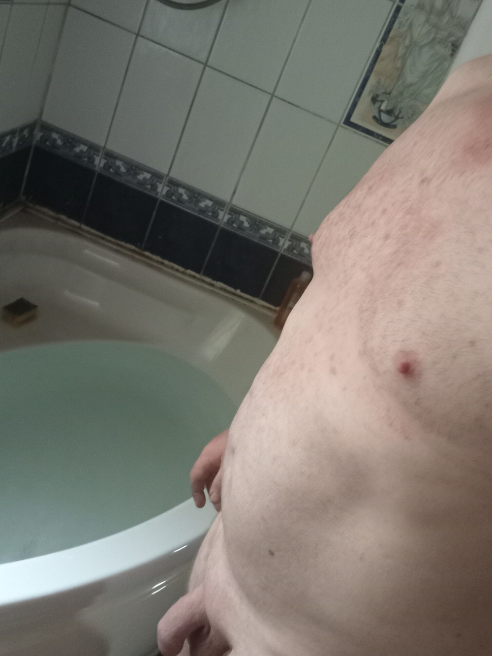 Shaven #2