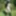 Niqab and Boots Naked Outdoors