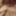 Transgender On HRT Naked