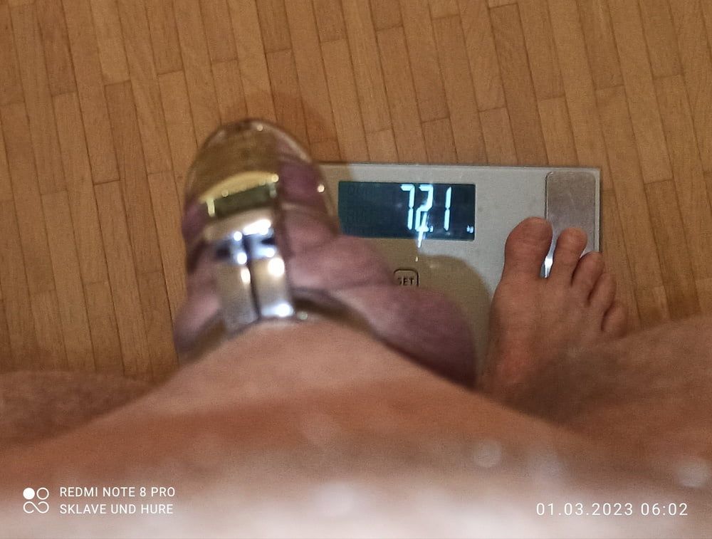 weighing with clamps, weights, cagecheck of 1.3.23 #3