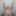 June 7, 2025Daily duty of the naked slave #6