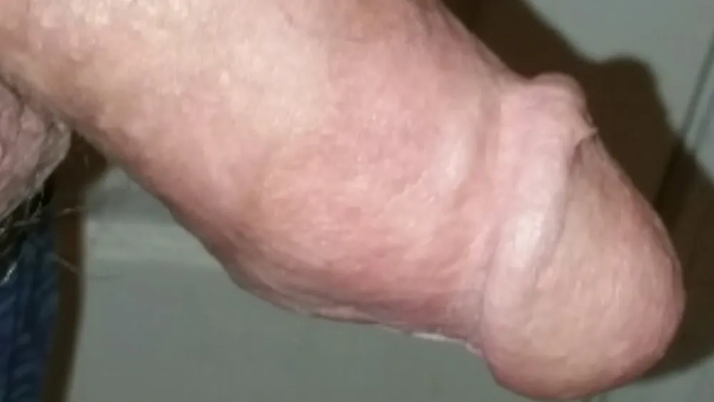 My Cock 