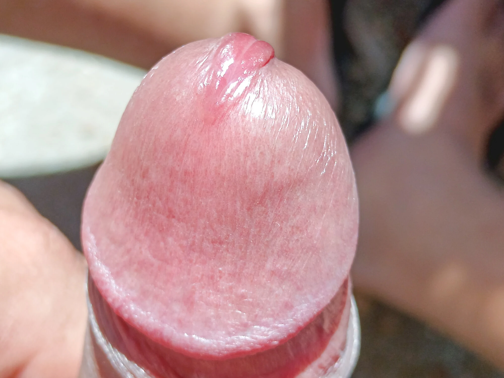 My Beautiful Erect Penis with 6 months without waxing 