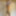 Naked Photo Shoot #14
