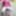 Amateur crossdresser Kelly cd in pink fishnet dress 