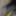 young man masturbation in bedroom 