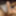 My Ex Gf Wanted A Dick Pic
