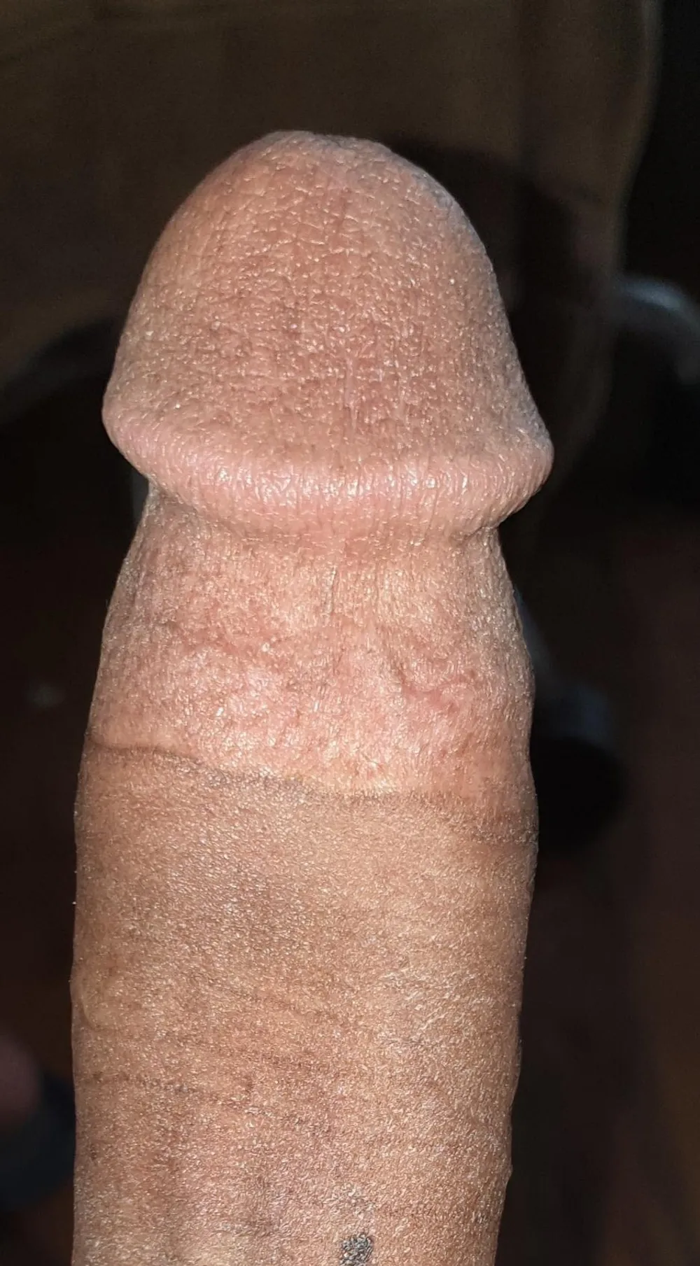 Hard cocks #4