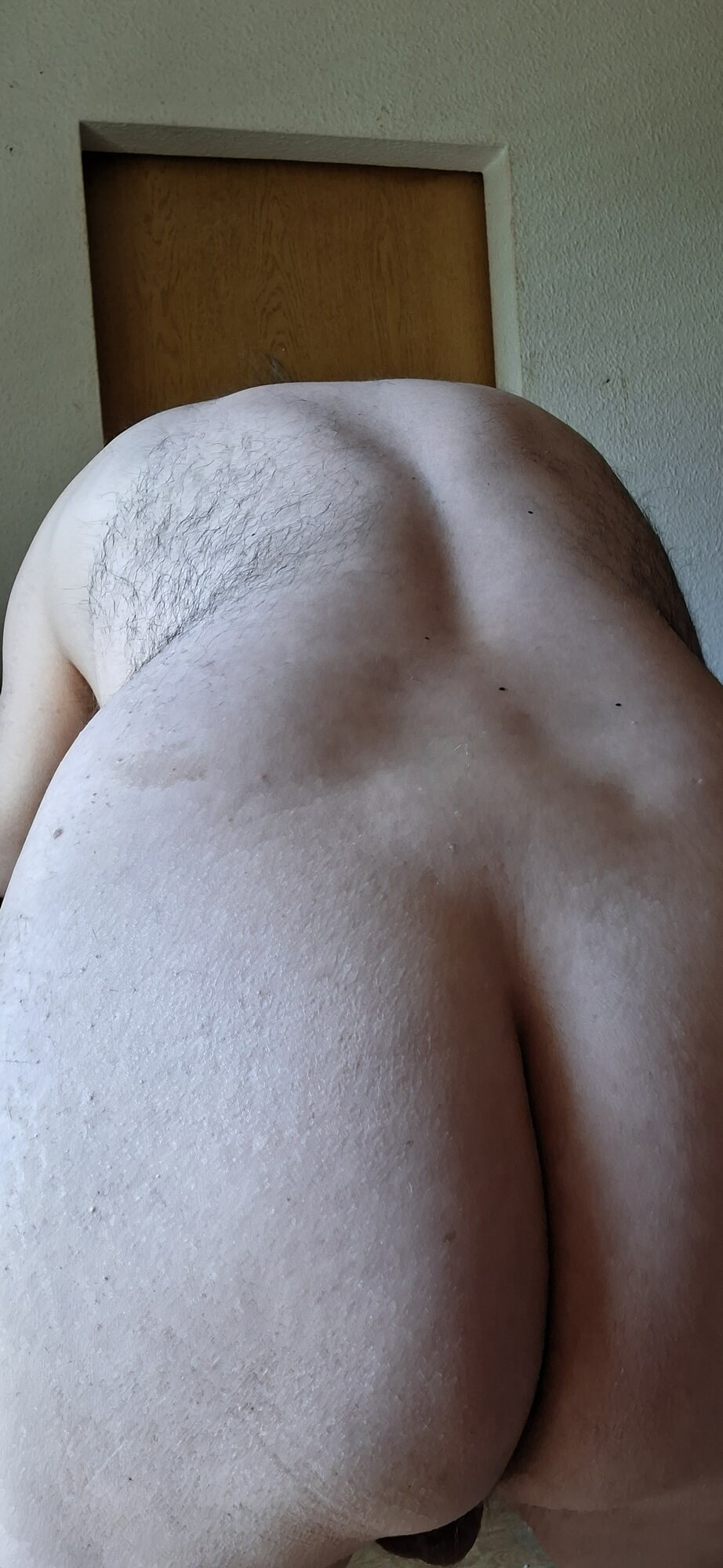 Meine Neuen Bilder 