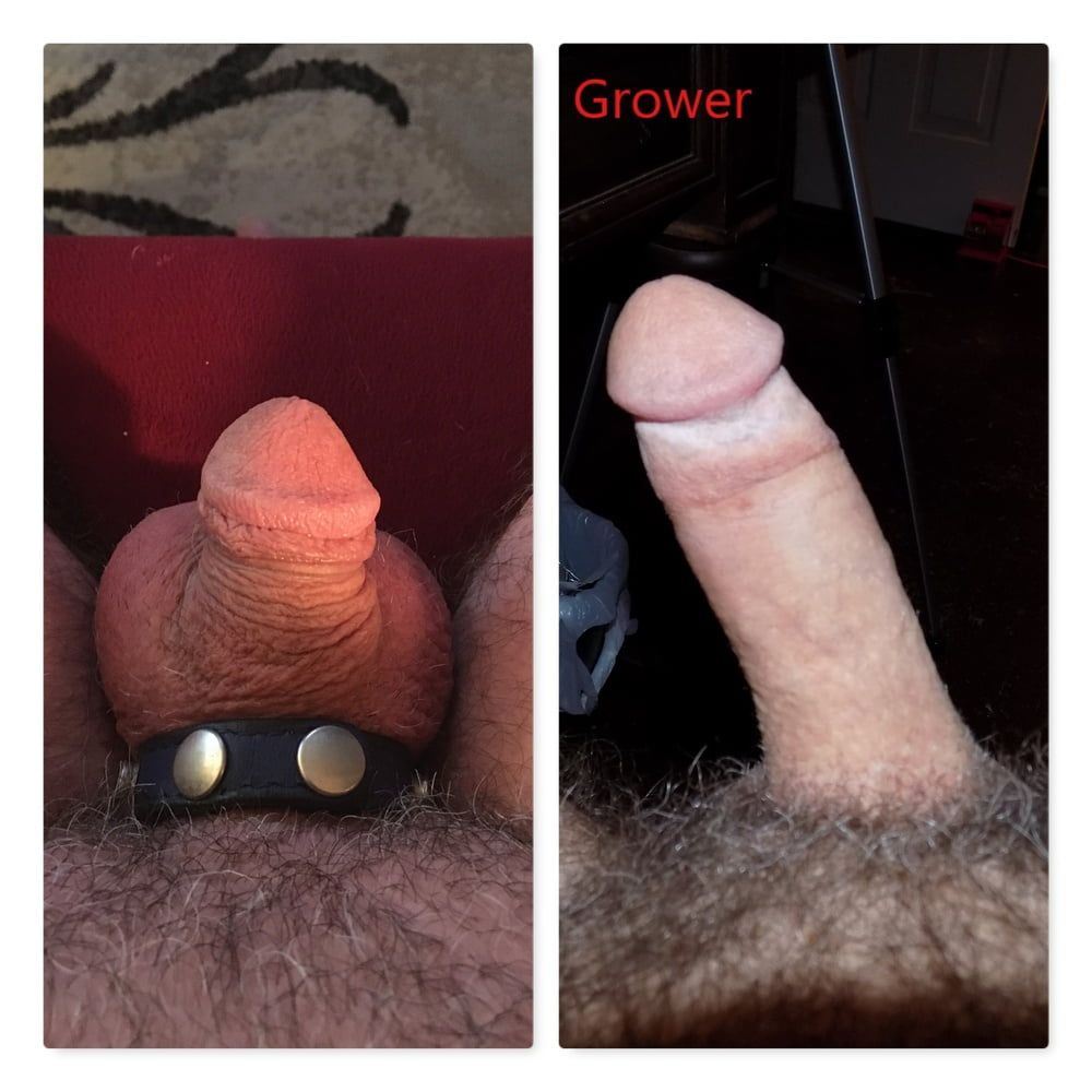 Cock  #43