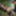 Teen Girl Strap-on pegging Teen Guy outdoors, femdom, BDSM #25