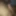 My dick is ready to pull on some slut)