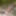 Bruinette woman alone naked while sunbathing