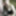 Curvy brunette Naomi is blowing a geek