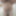 Mandatory weighing cagecheck December 17, 2023
