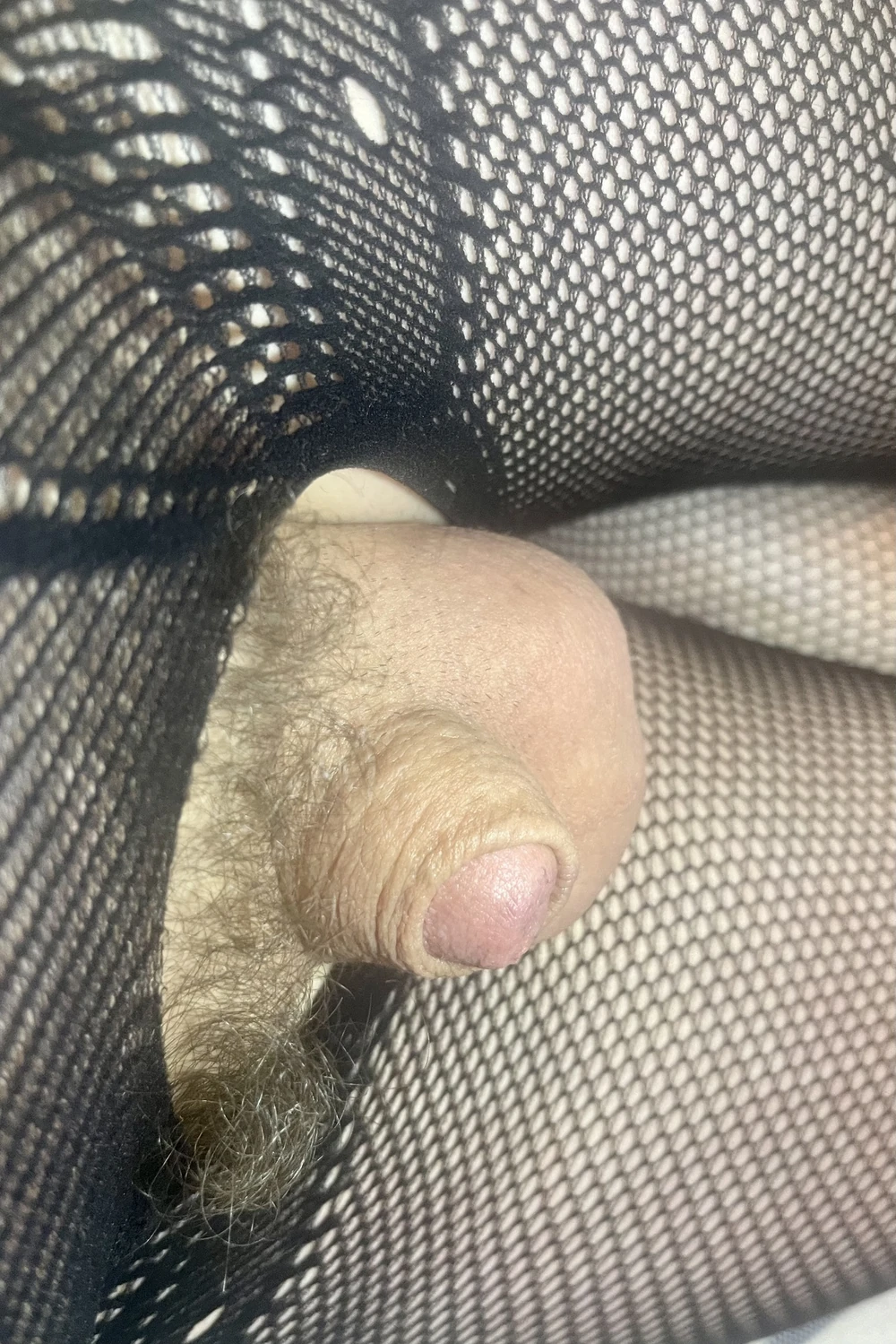 Micropenis #4