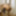 Sodomie (suite) #16