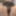 Panty Haul from behind in girls thongs sexy 
