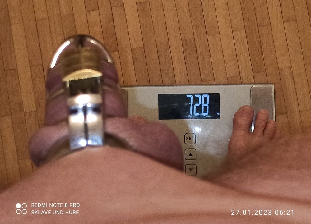 No play, only weighing and cagecheck of 27.01.2023 #3