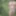 Nettles of disappointment #3