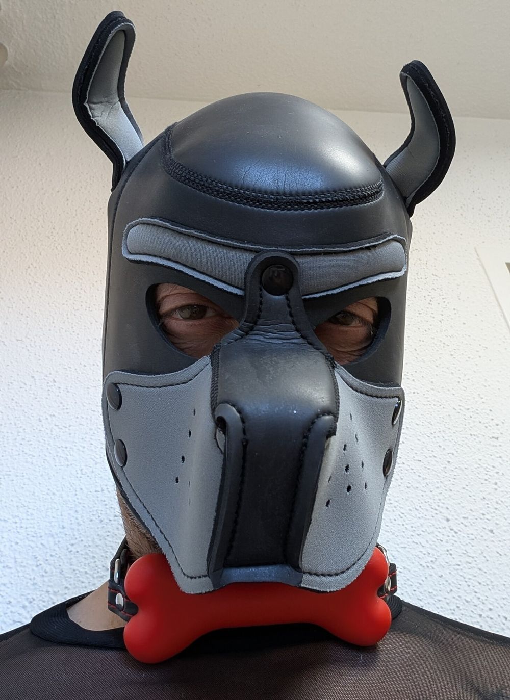 Meet your Sir - Master - Dom - Handler - Wolf #4