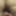 Horny LESBO Date