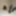 Stepdaughter 2024 Photo Album