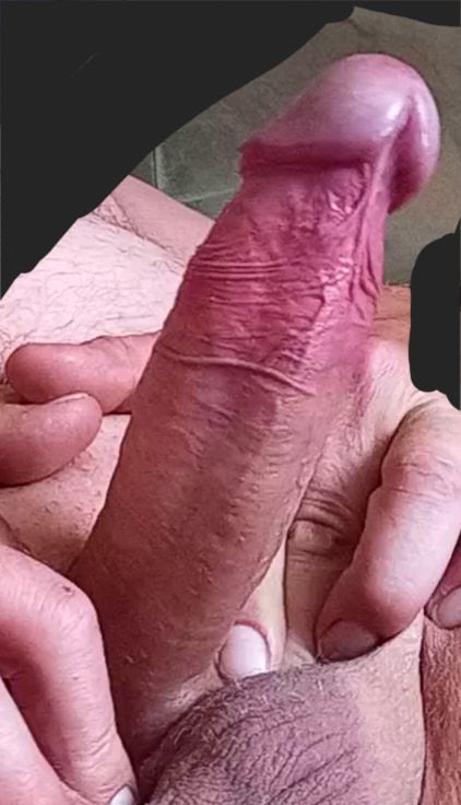 Můj penis