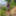 I went for a walk without panties #9