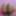 Indian desi bhabhi priya nude picture 