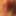 Closeups  #22