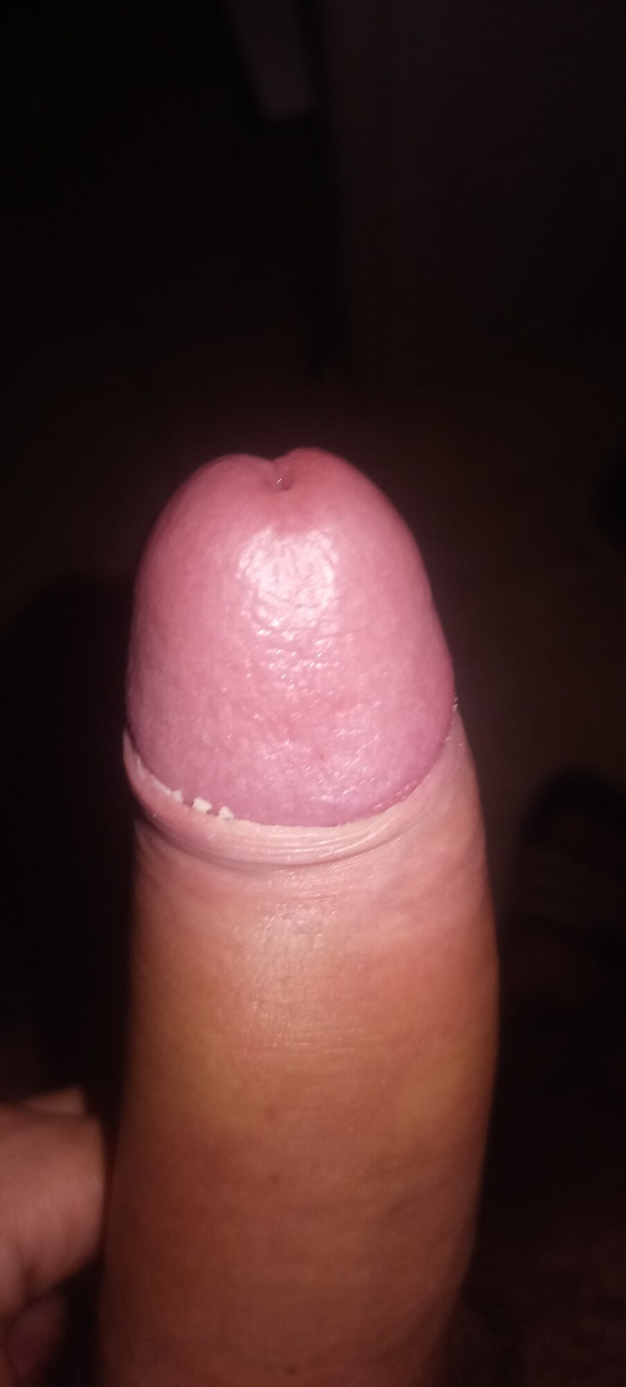 Mi pene y mi culo