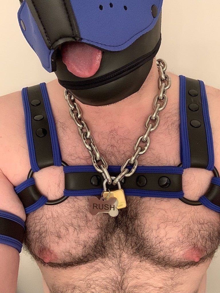 Do you like beefy pups in gear? #8