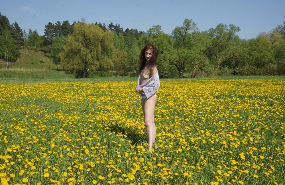 Yellow Meadow #32