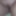 What&amp;amp;#039;s behind take a peek #6