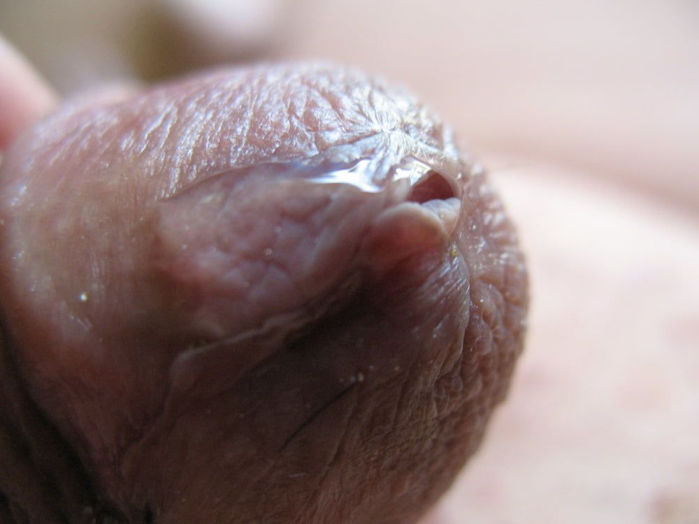 Cute little cock with precum #10