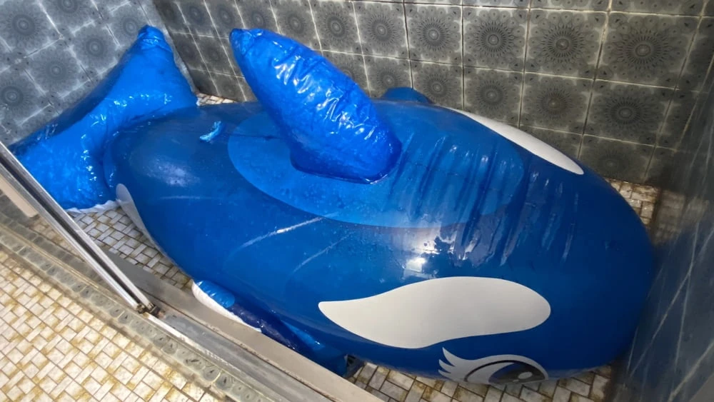 Autobiography: Gay Waterbed/Inflatable Lover