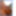 &lt;textarea name=&quot;description&quot; placeholder=&quot;Beschrijving (in h