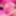 Solitary Pink Confinement at SinfulXXX