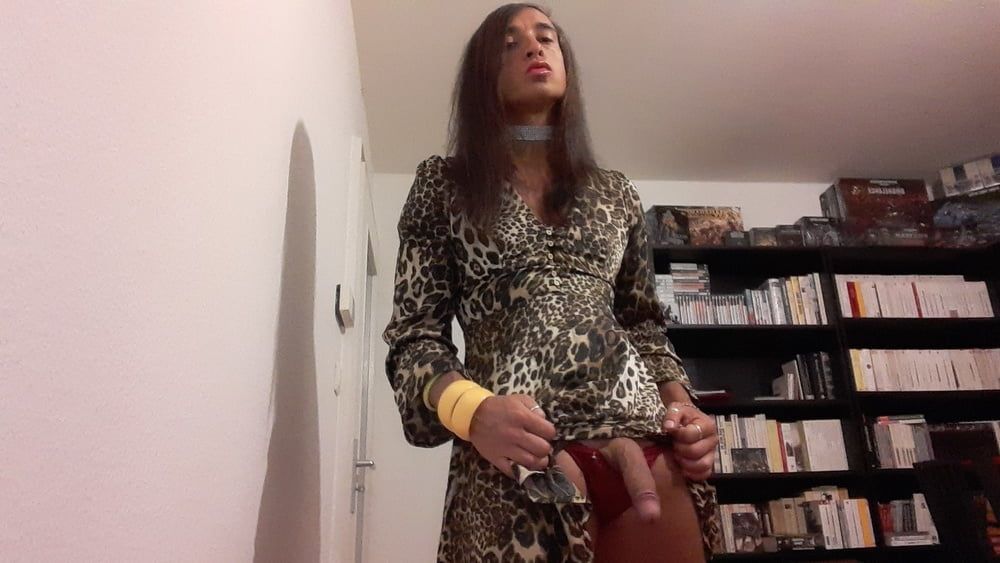 Sissy Tygra in leopard dress on 2019 octobre. #32