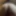 i need a hard cock in my big virgin ass...