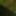 Masturbation in the Forest
