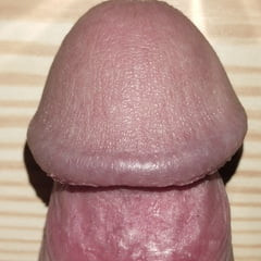 Close up dick on table