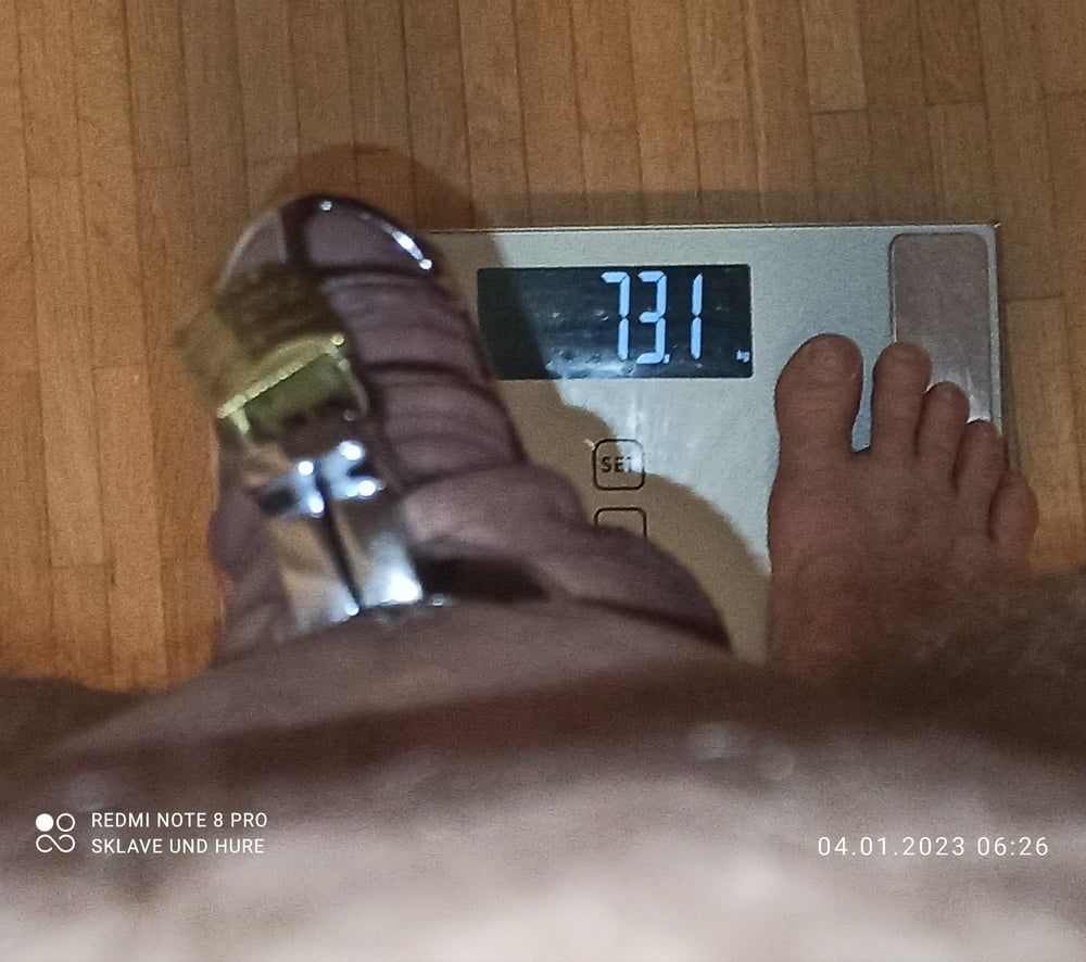 mandatory weighing and cagecheck of 04.01.2024 #13