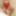 Wetting myself in my red body and stockings oops! #5