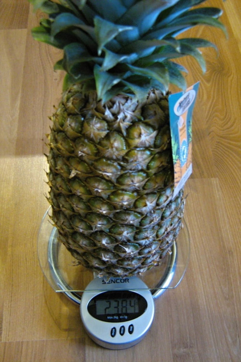 Pineapple #2