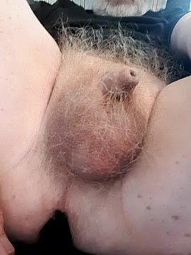My small penis &amp;amp; toy in ass #10