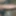 Big Desi dick