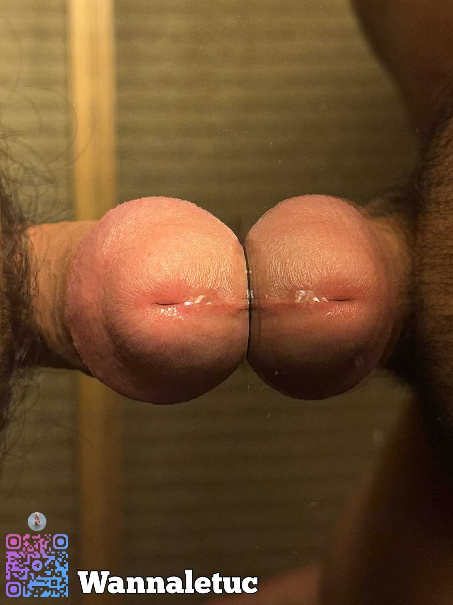 Telegram Channel Set